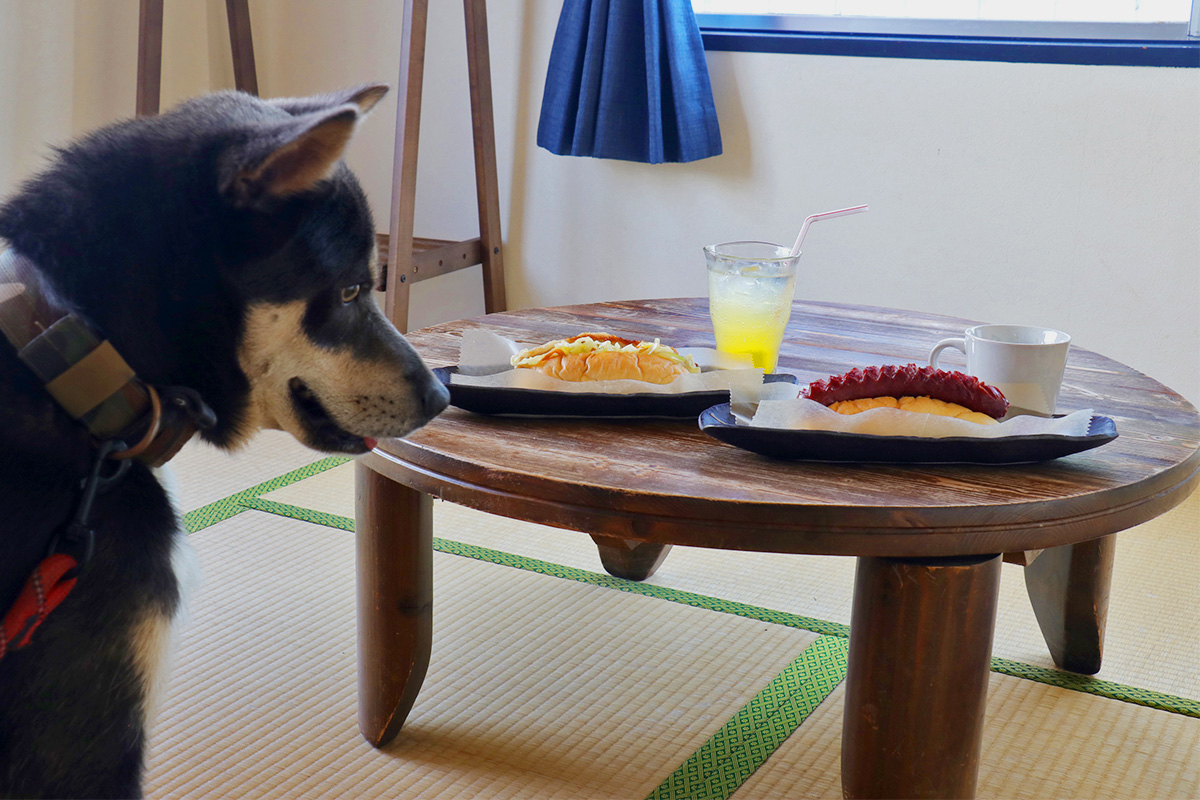 朝食-4