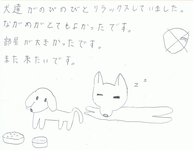 犬達がのびのびと