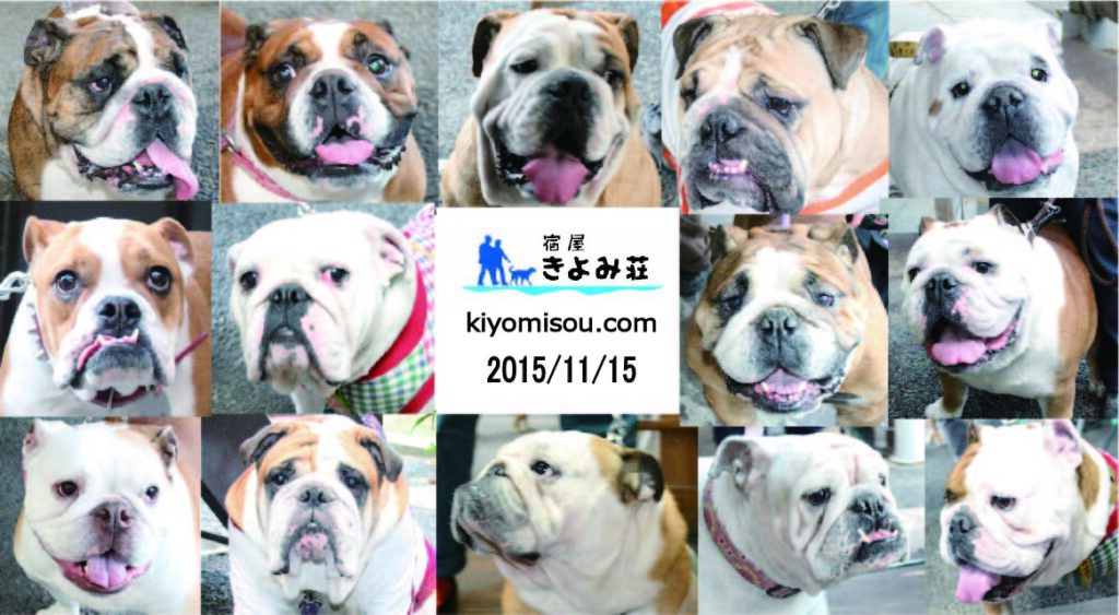 ブルドッグのオフ会☆2015