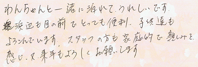 スタッフの方も家庭的で親しみを