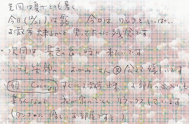 今日（12/21）は霧