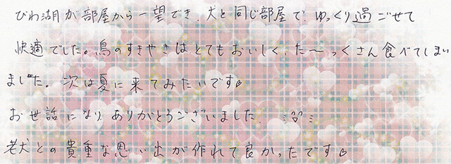 老犬との貴重な思い出が