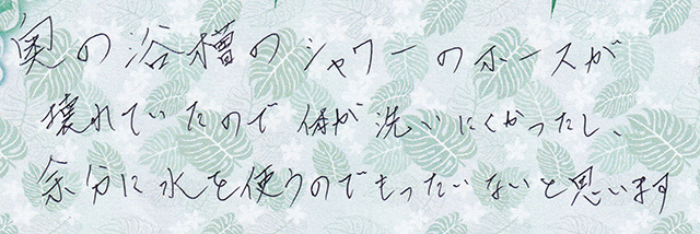 奥の浴槽のシャワーのホースが