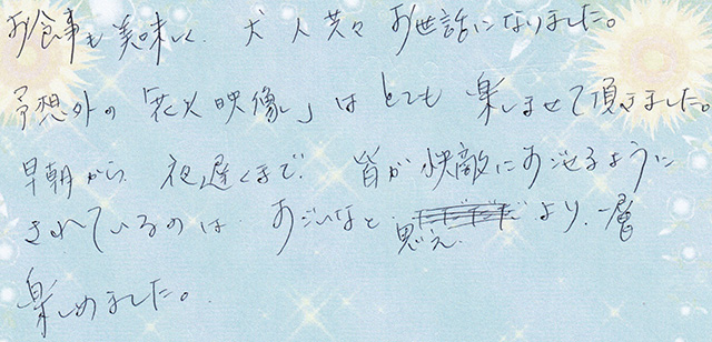 予想外の 「花火映像」 は