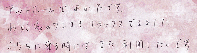 わが家のワンコもリラックス
