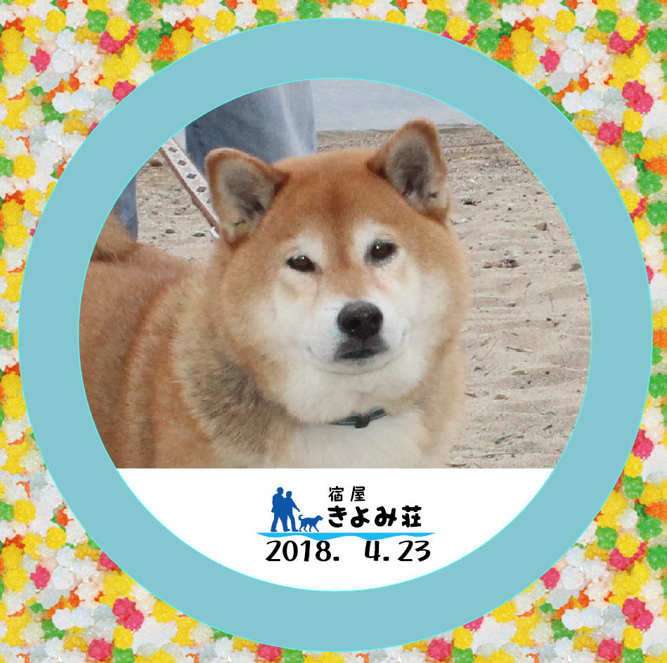 ふうた