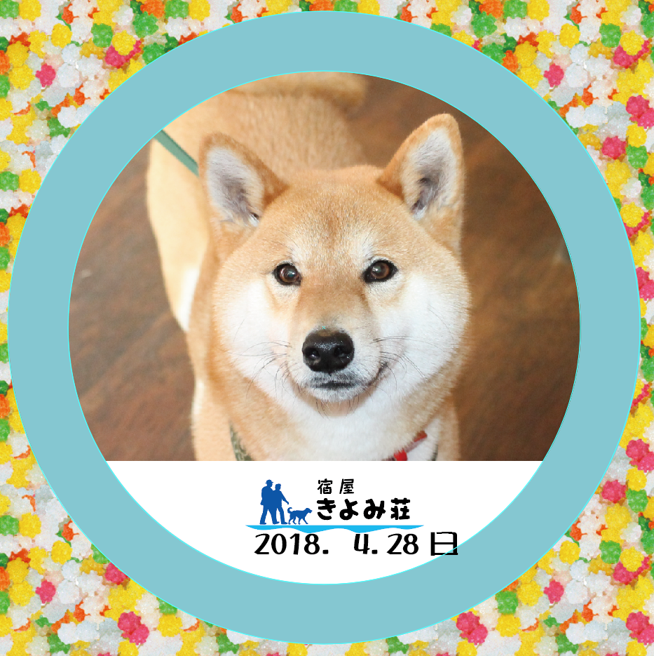 金吾郎（ごんごろう）