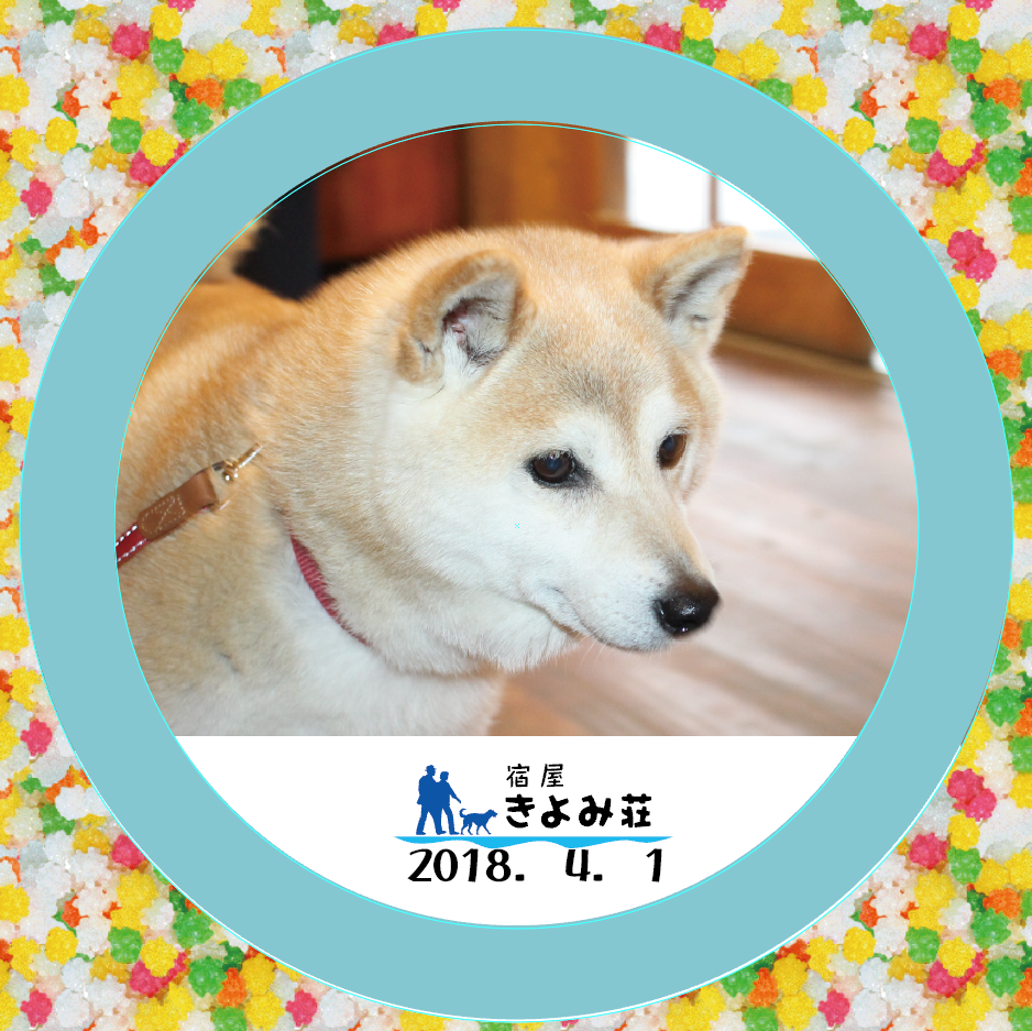 ネネ