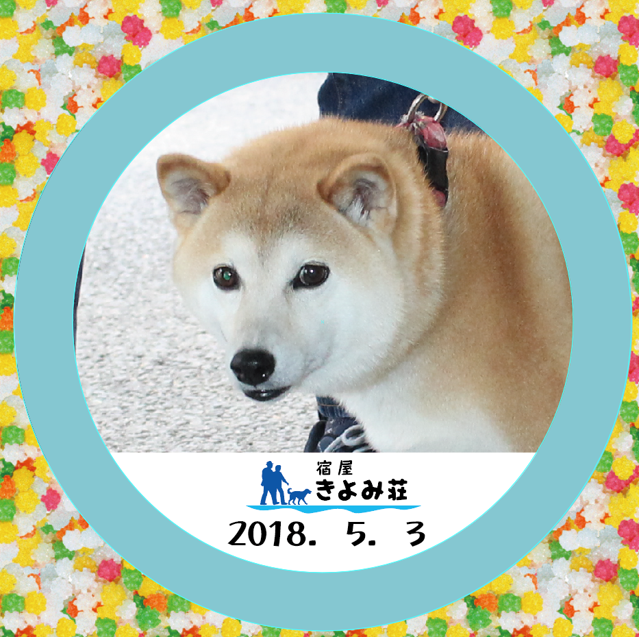 風（ふう）
