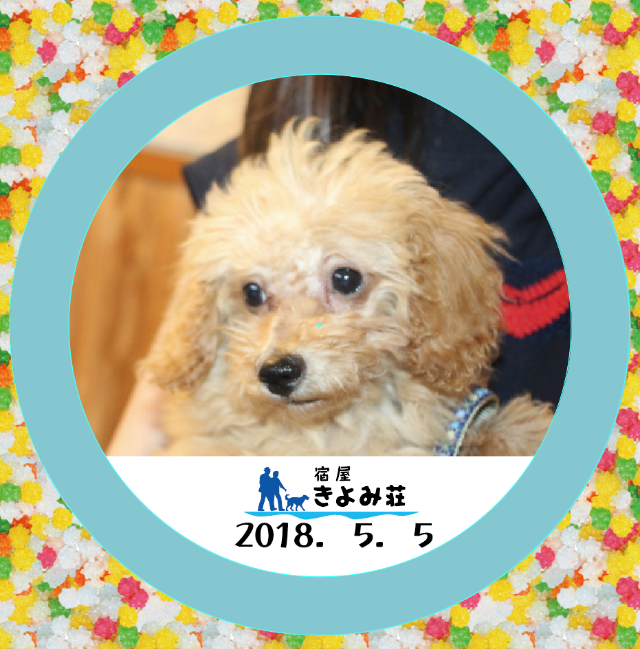 ベル