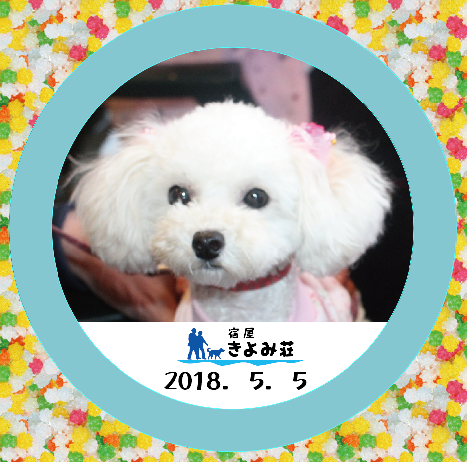 ふわり