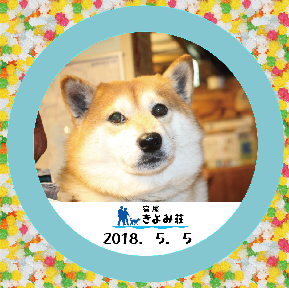 りゅう