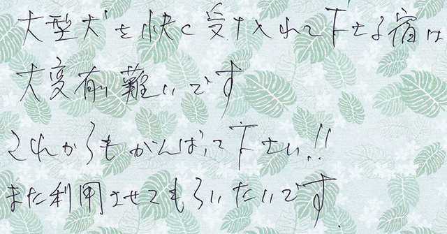 大型犬を快く受け入れて下さる宿は