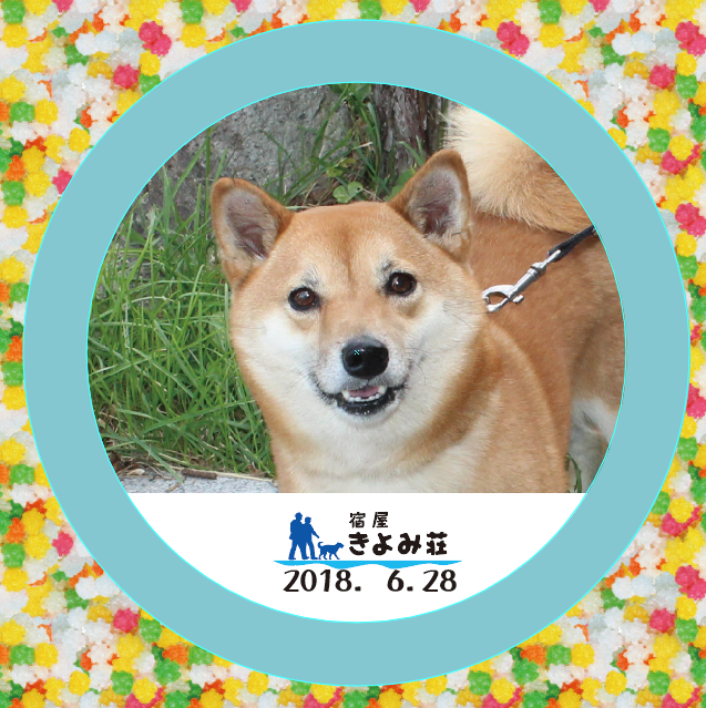 モモ