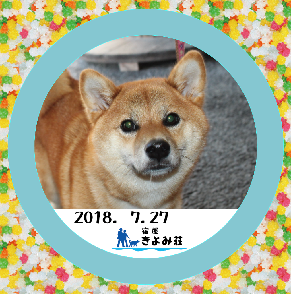 麗（レイ）