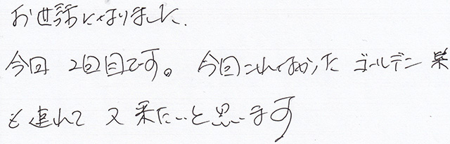 今回　２回目です