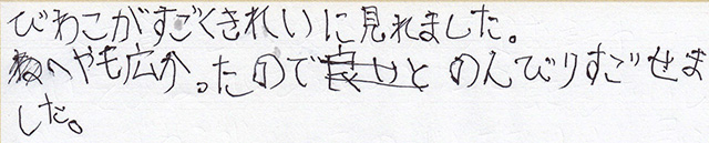 びわこがすごくきれいに