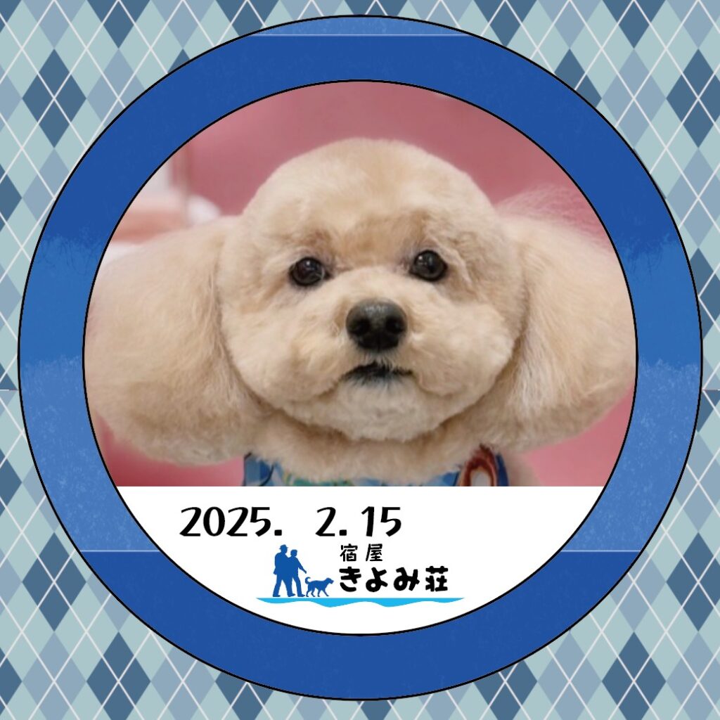 ハル