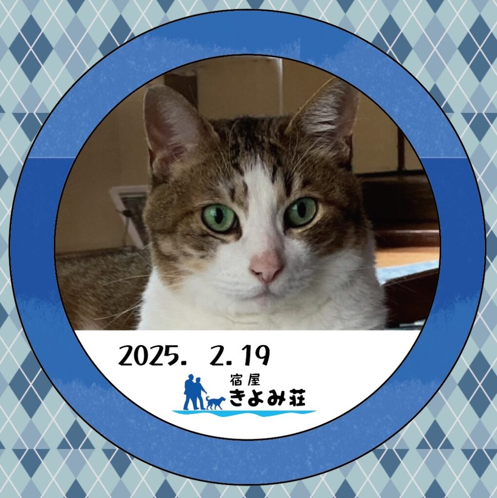 ソラ