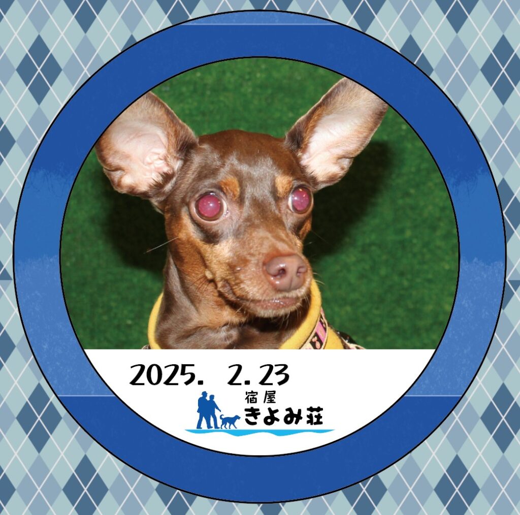 りゅうのすけ