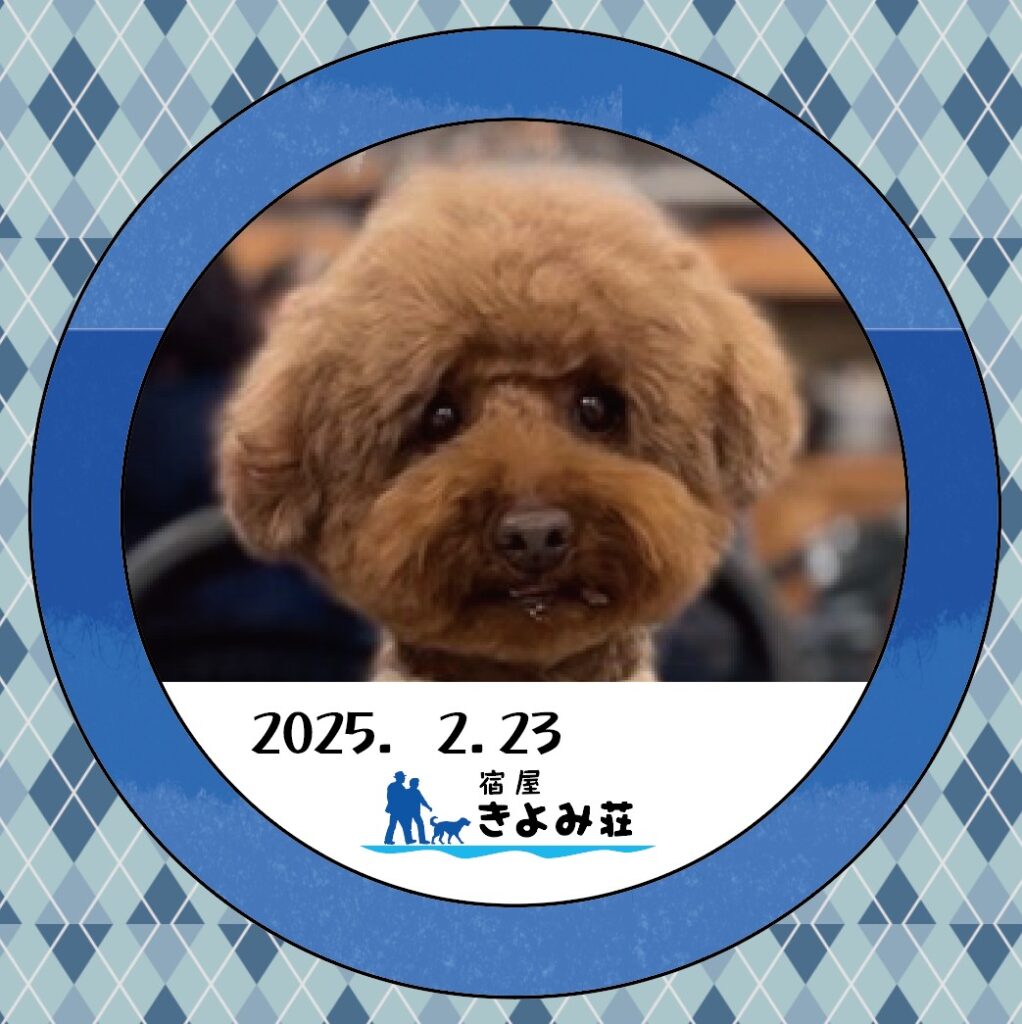 ちゃず