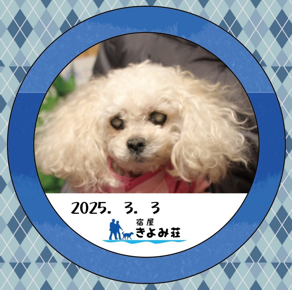 ラテ