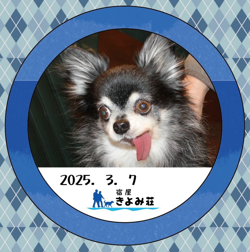 くうた