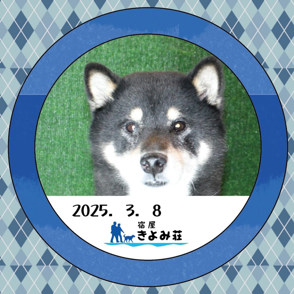 一護