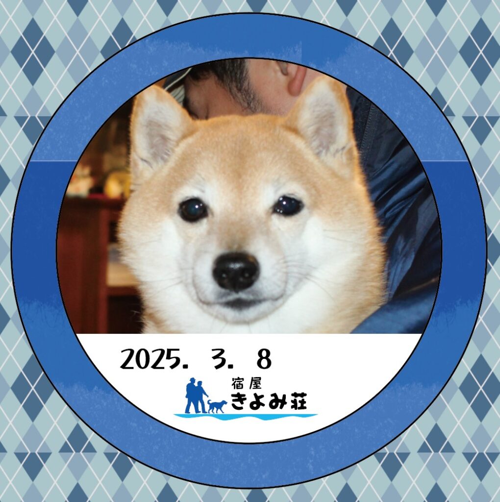 ちくわ