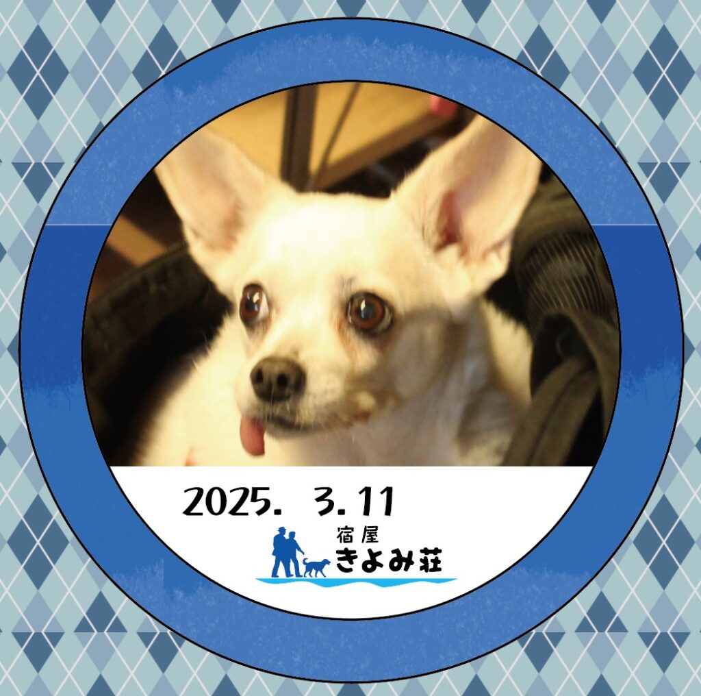 ロコちゃん