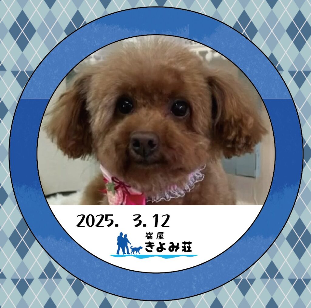 ももこ