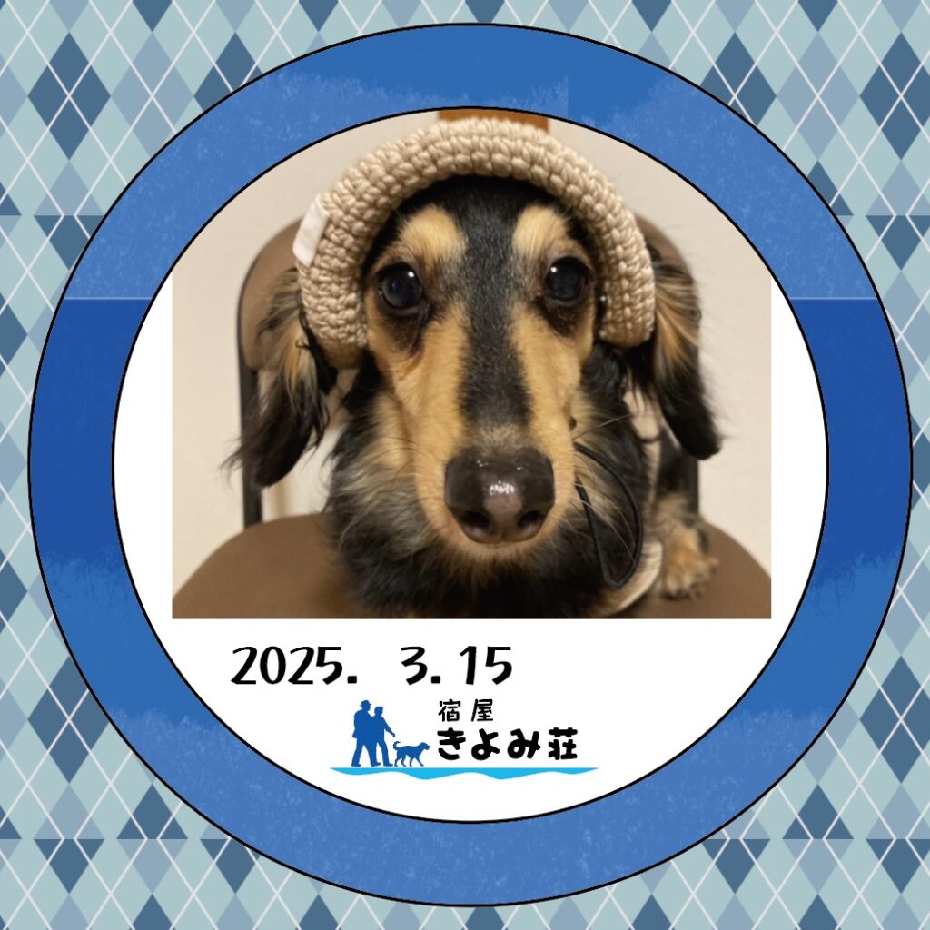 うずら