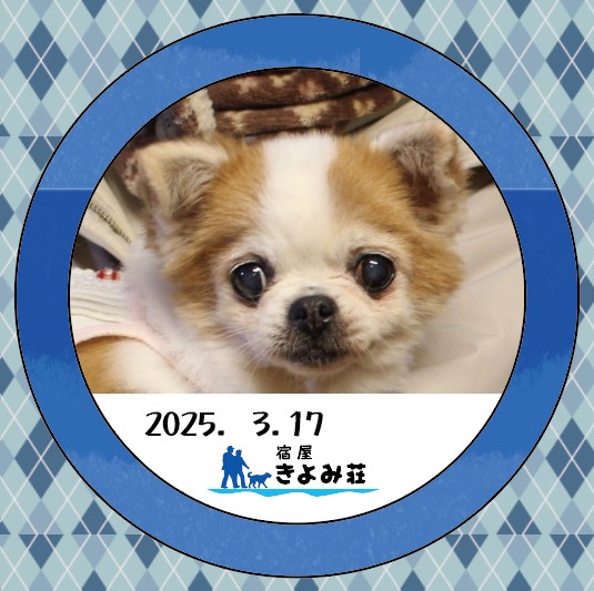 ここあ