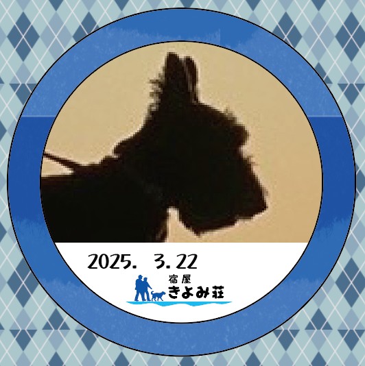 ノア
