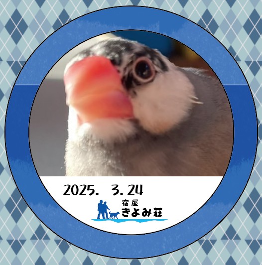 もも