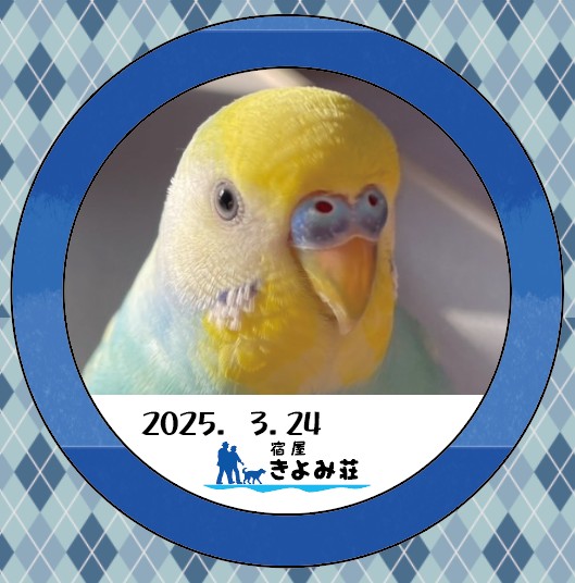 ラムネ