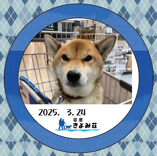 小鉄