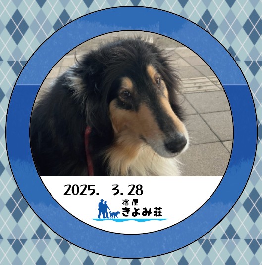 ロビン