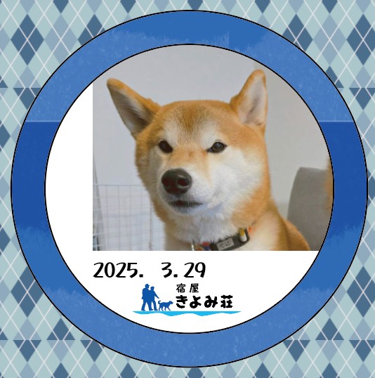 あん