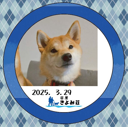 もみじ