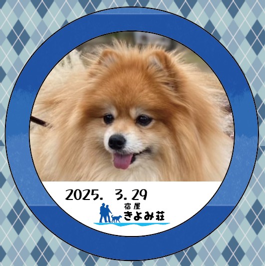こてつ