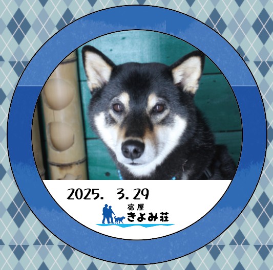コテツ