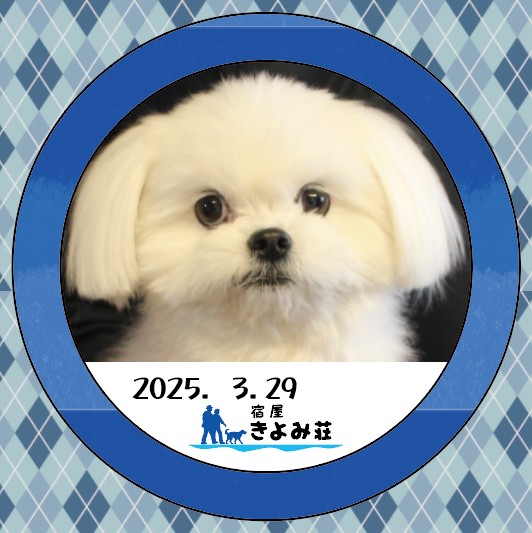 もち