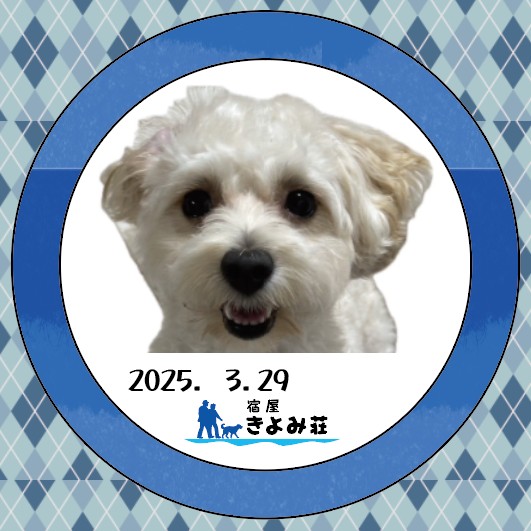 まるちゃん