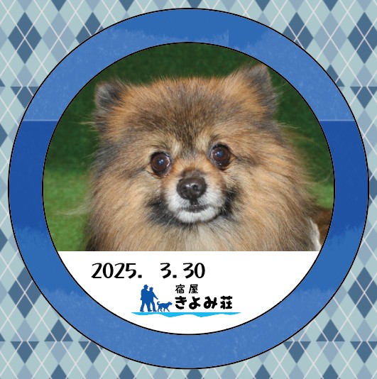 ころん
