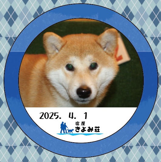 バン