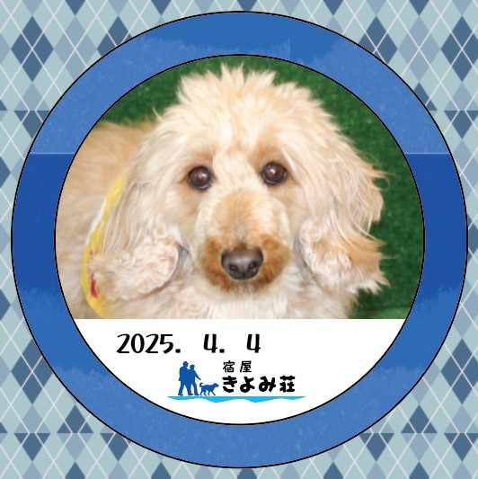 らんぜ