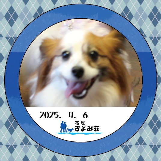 ふう