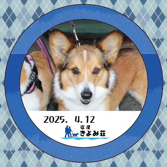 コサブ