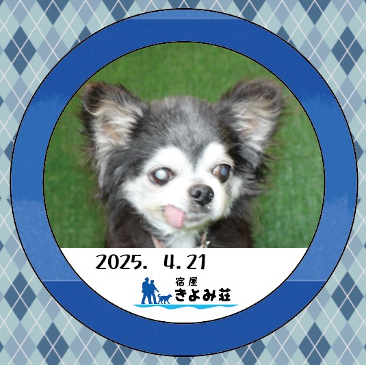 はち